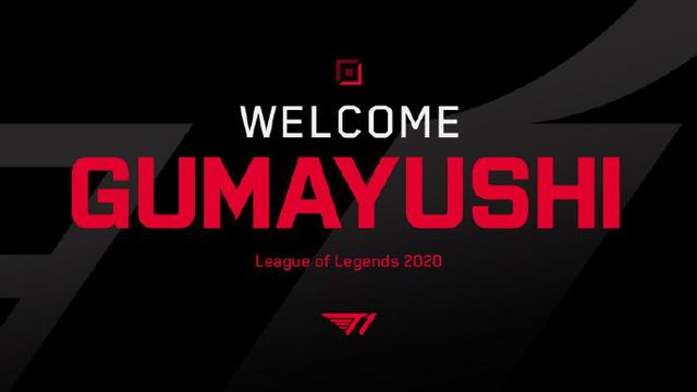 看到了运动 看到了运动