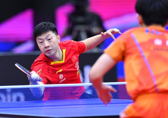 豪门与黑马 豪门与黑马