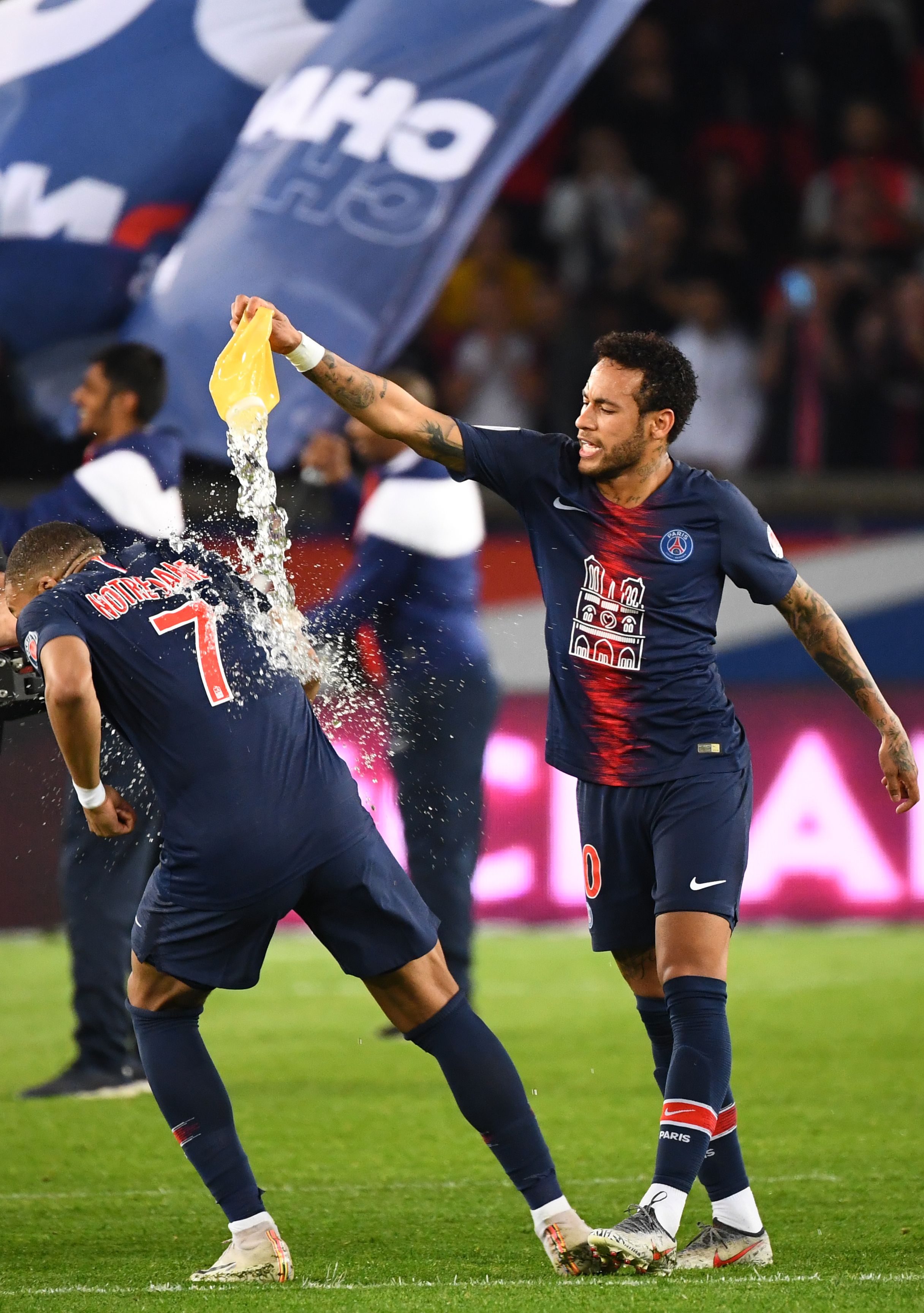 将以新版本 将以新版本